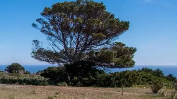 La Mola - Sa Cala