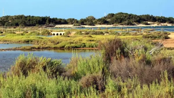 Sant Francesc - Ses Escoles - Can Marroig