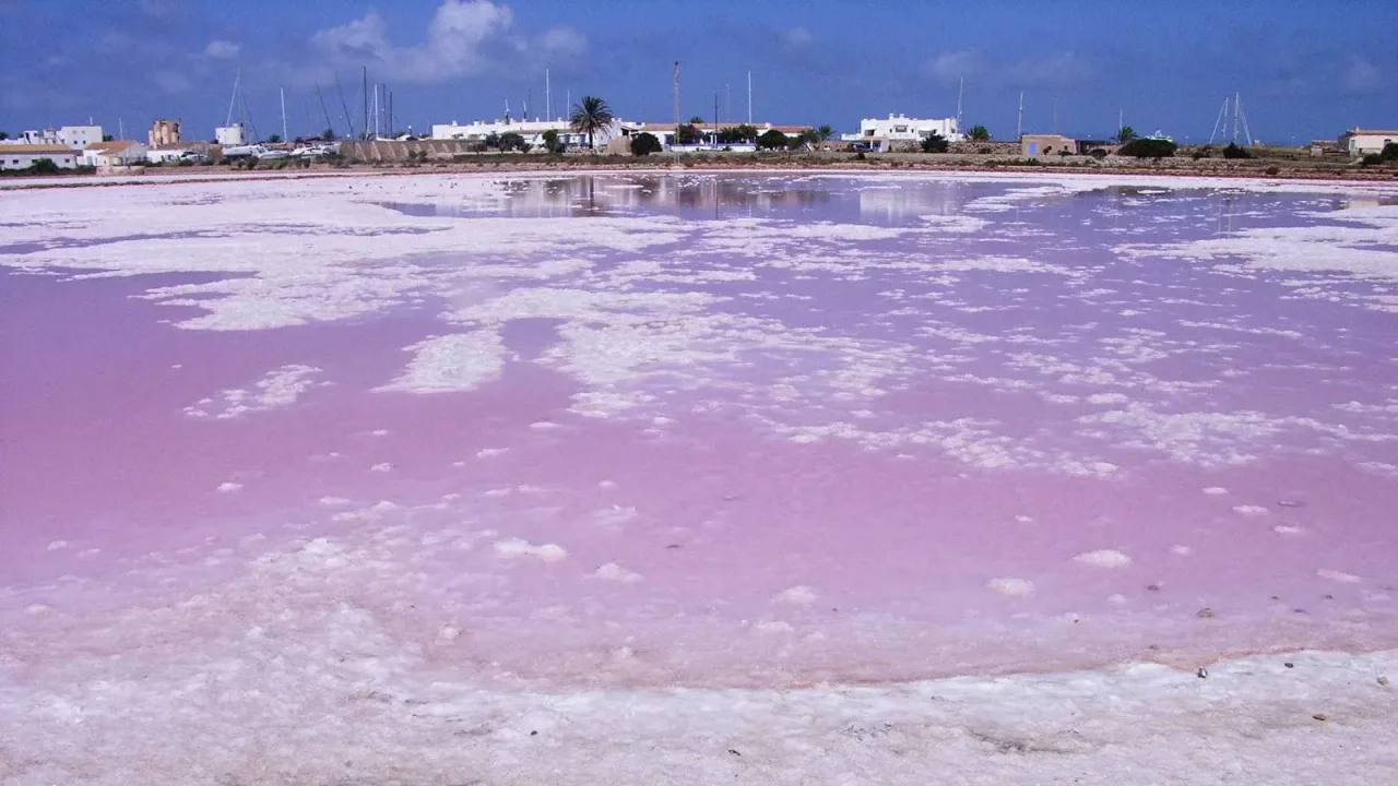 Estany Pudent e Ses Salines