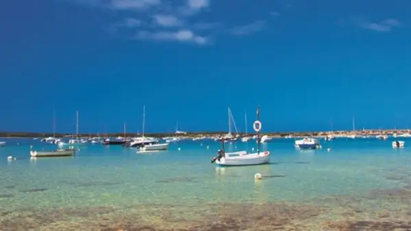 La Savina - Cala Saona