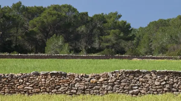 Es Cap - Punta Rasa